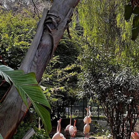 Baglio Dei Conti D'orleans *